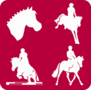 Stage à cheval - Cavaliers G3, G4 et G5 @ Manège du Mont d'Or | Métabief | Bourgogne Franche-Comté | France